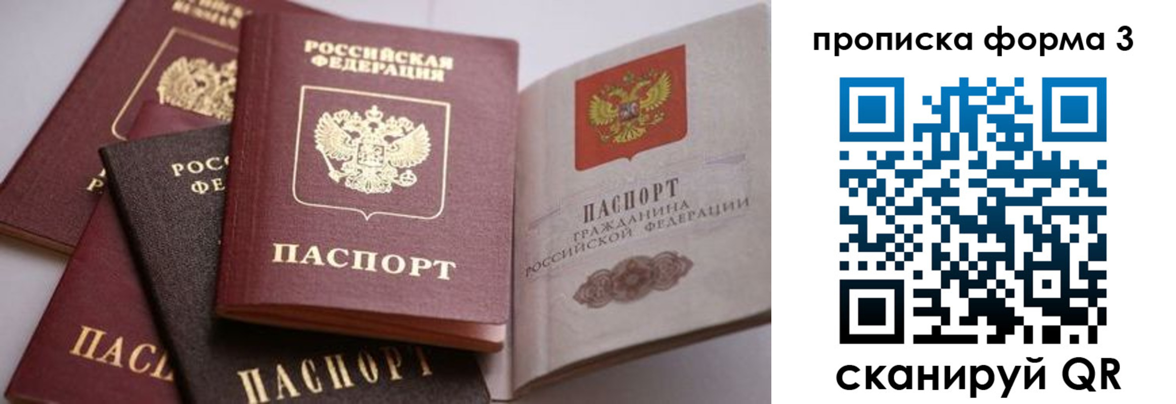 прописка для школы в Козьмодемьянске